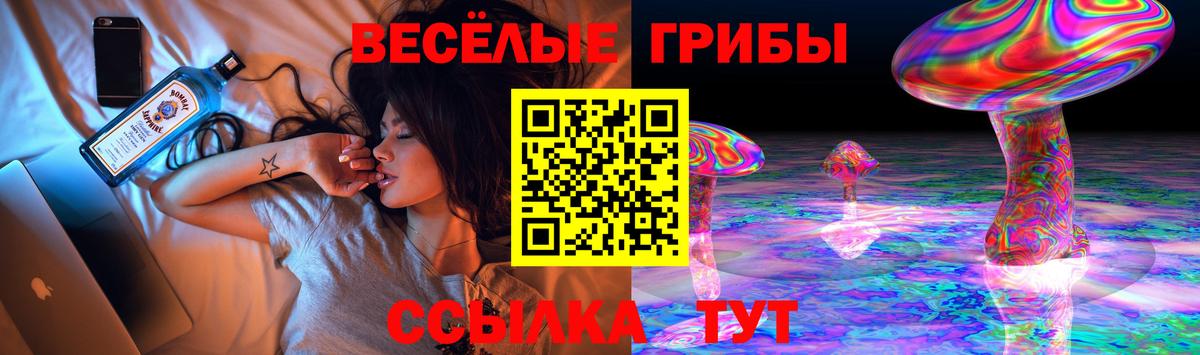 Нижневартовск  Галлюциногенные грибы Cubensis  Вход с VPN 